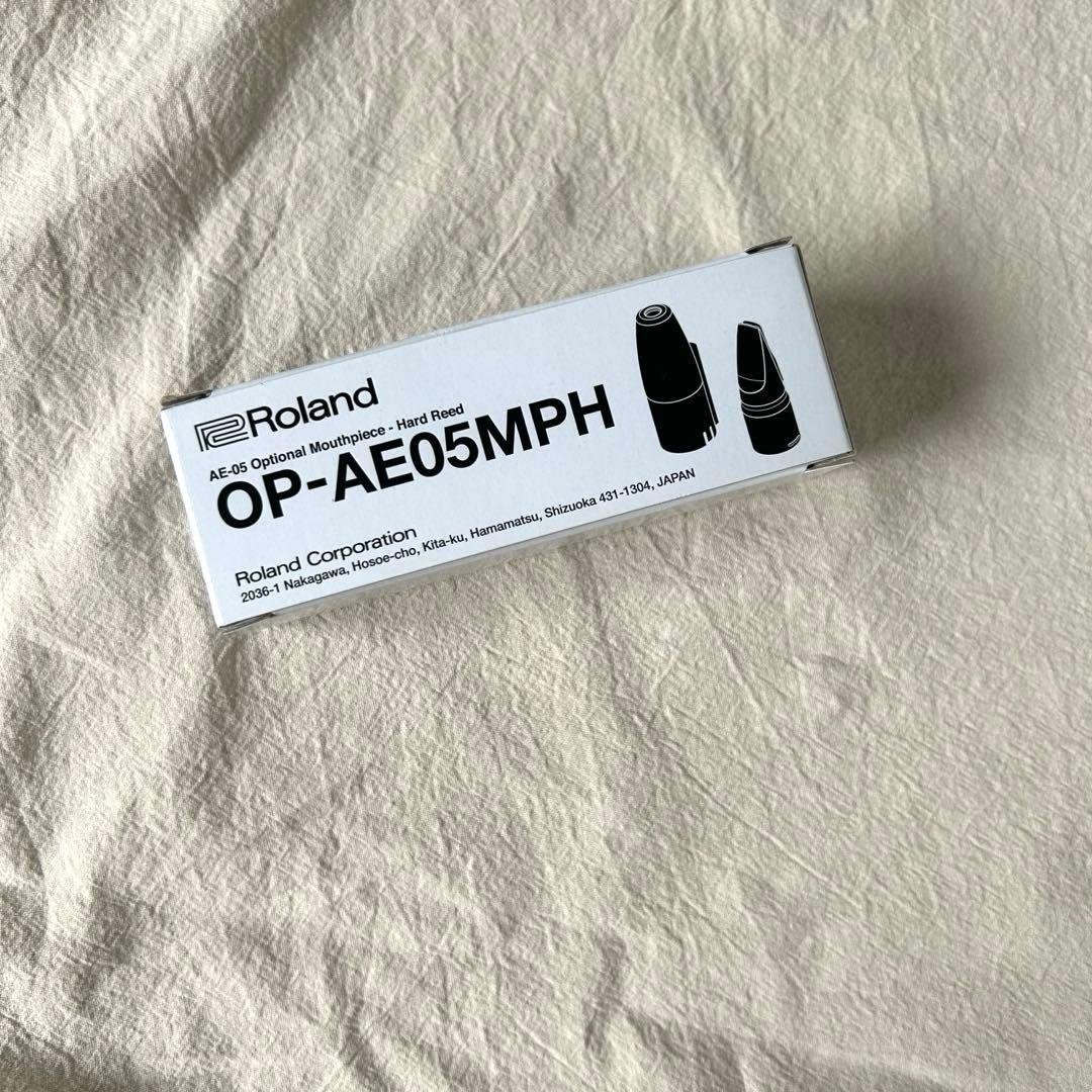 Roland Others Aerophone Mini Ae-01