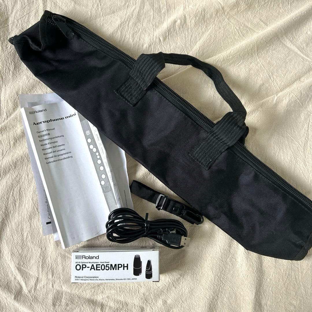 Roland Others Aerophone Mini Ae-01