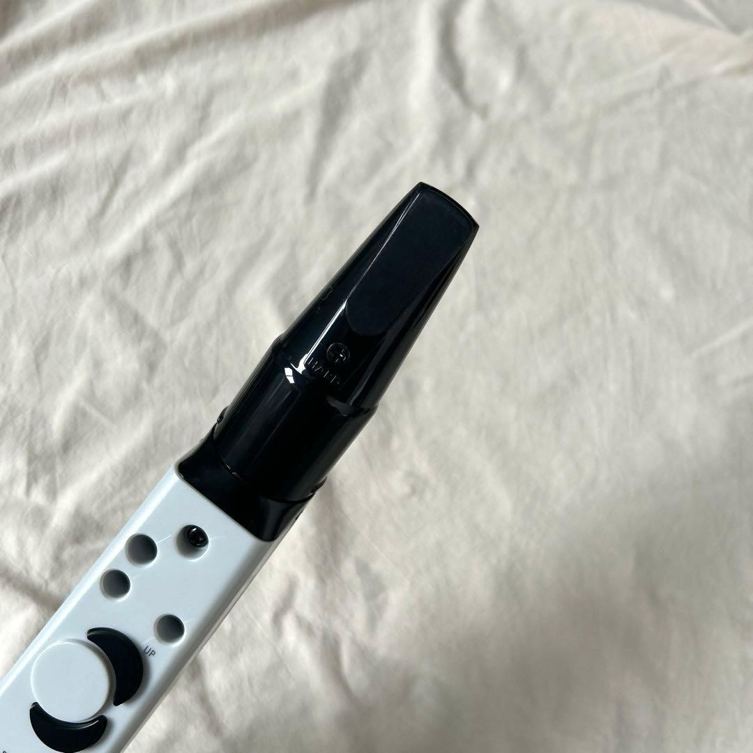 Roland Others Aerophone Mini Ae-01