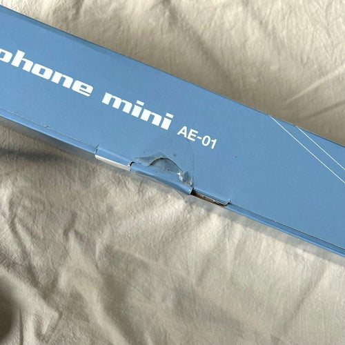 Roland Others Aerophone Mini Ae-01
