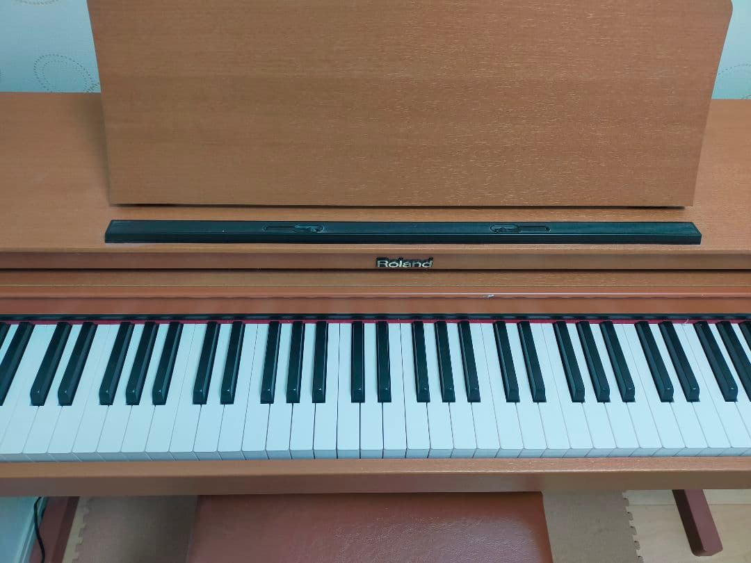 Roland Keyboards Digital Pianos N225