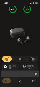 Bang Olufsen Wireless Earphone Beoplay Ex