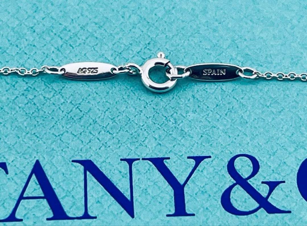 Tiffany Necklaces C951 Ag 925