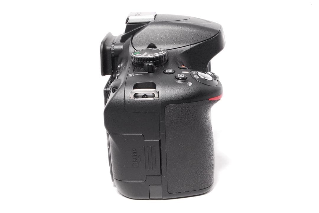 Nikon Digital Slrs D5100