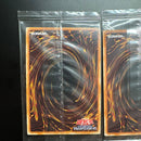 Yu-Gi-Oh! Ocg Duel Monsters (Japanese) 7 Sin Mov2-Jp001