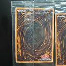 Yu-Gi-Oh! Ocg Duel Monsters (Japanese) 7 Sin Mov2-Jp001