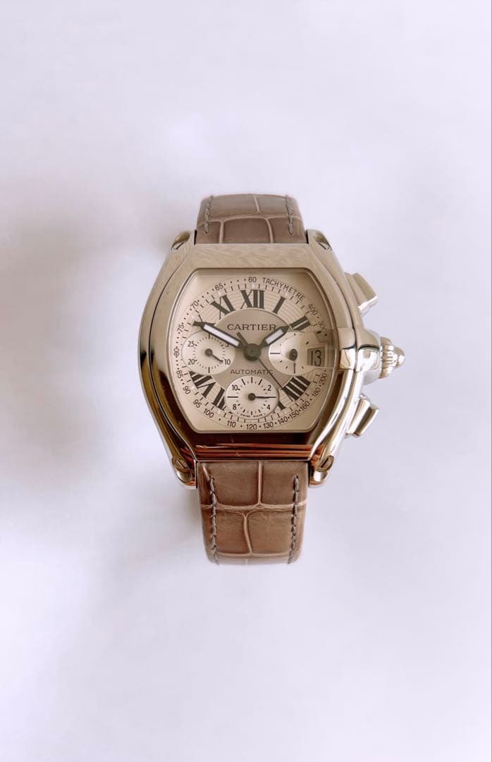 Cartier Hand-Wound Watches W62006X6