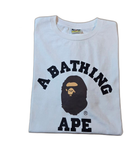 A Bathing Ape T -Shirt College Tee Shark