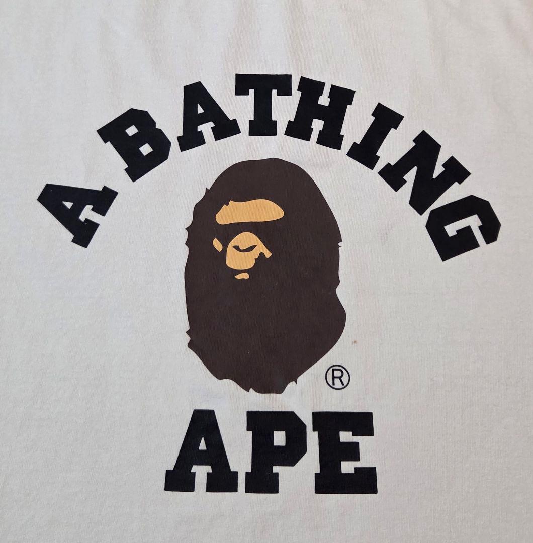 A Bathing Ape T -Shirt College Tee Shark