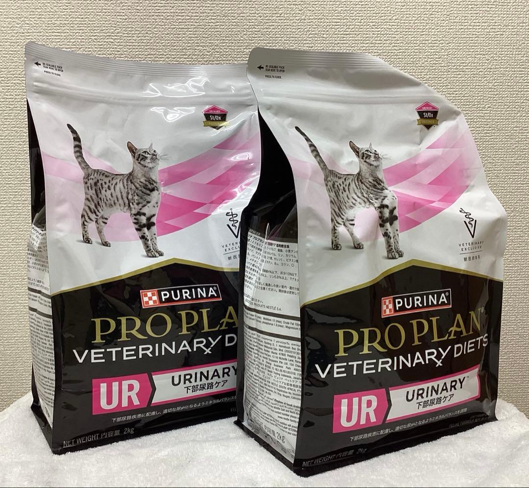 Dry Food Ur 2Kg X2