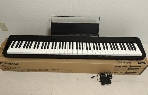 Casio Keyboards Digital Pianos Privia Px-S3100Bk