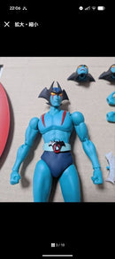 Bandai Other S.H.Figuarts D.C.