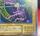 Yu-Gi-Oh! Ocg Duel Monsters (Japanese)