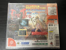Hudson Soft