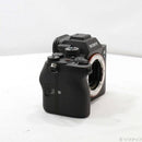 Sony Mirrorless Interchangeable Lips 7S Iii Ilce-7Sm3 262