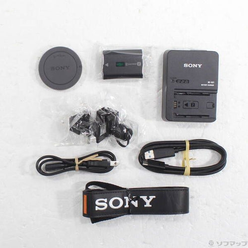 Sony Mirrorless Interchangeable Lips 7S Iii Ilce-7Sm3 262
