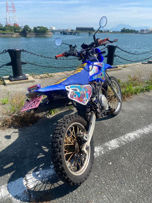 Yamaha Motorcycle Frames Tt-R125
