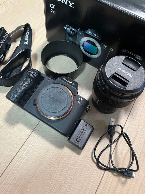 Sony Mirrorless Interchangeable Lips 7 Fe85M F1.8