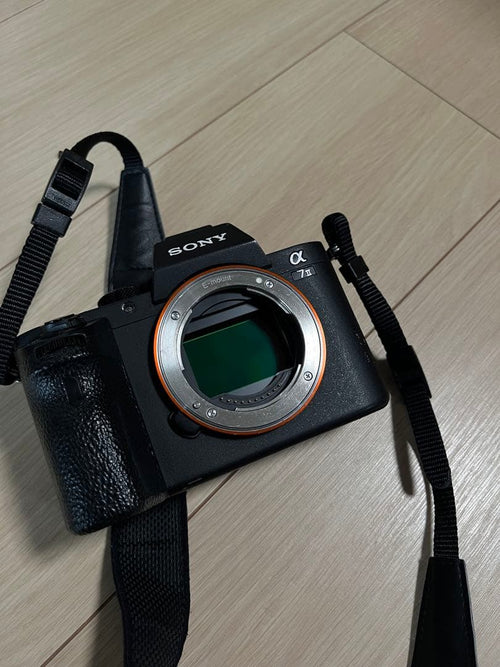 Sony Mirrorless Interchangeable Lips 7 Fe85M F1.8
