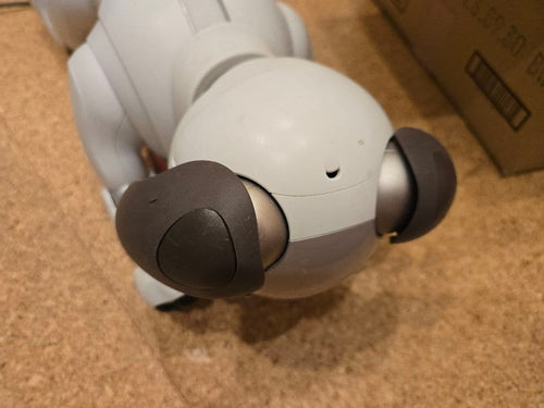 Sony Other Aibo Ers-1000