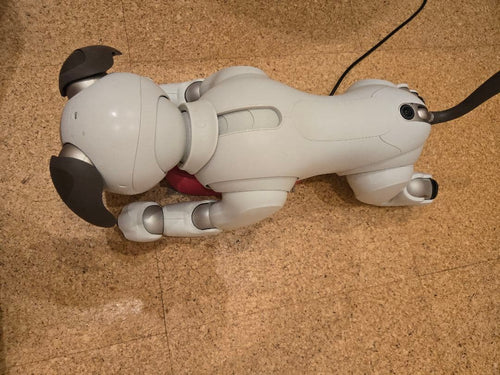 Sony Other Aibo Ers-1000