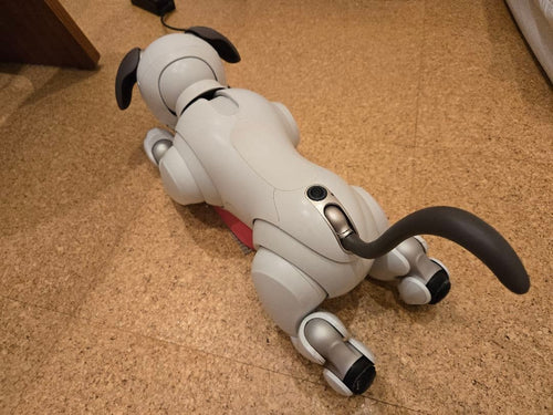 Sony Other Aibo Ers-1000