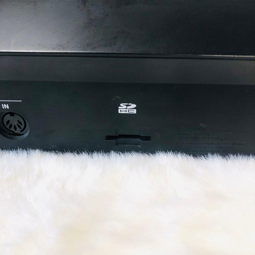 Roland Analog Synthesizer System-8 Plug-Out