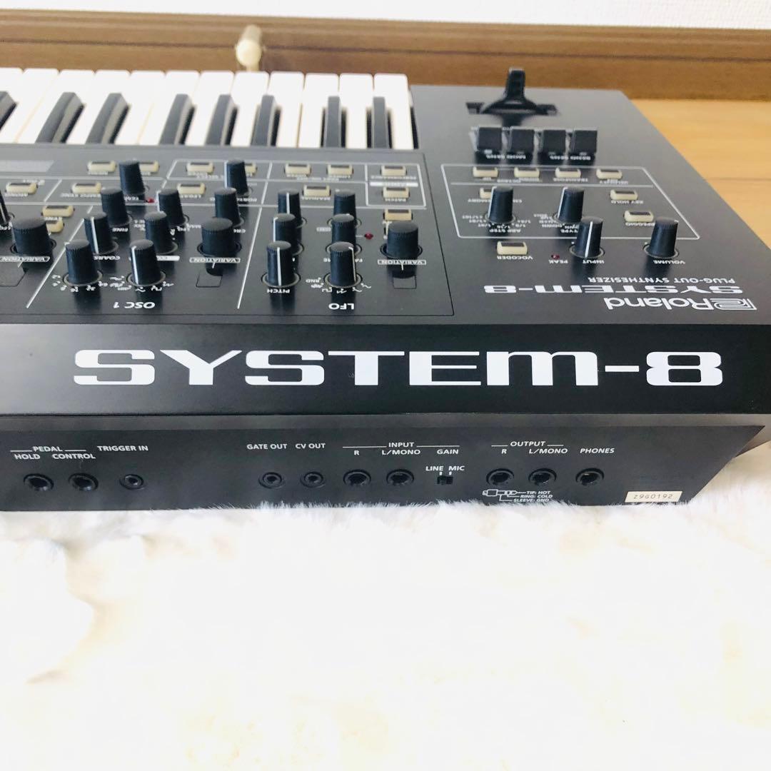 Roland Analog Synthesizer System-8 Plug-Out