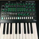 Roland Analog Synthesizer System-8 Plug-Out