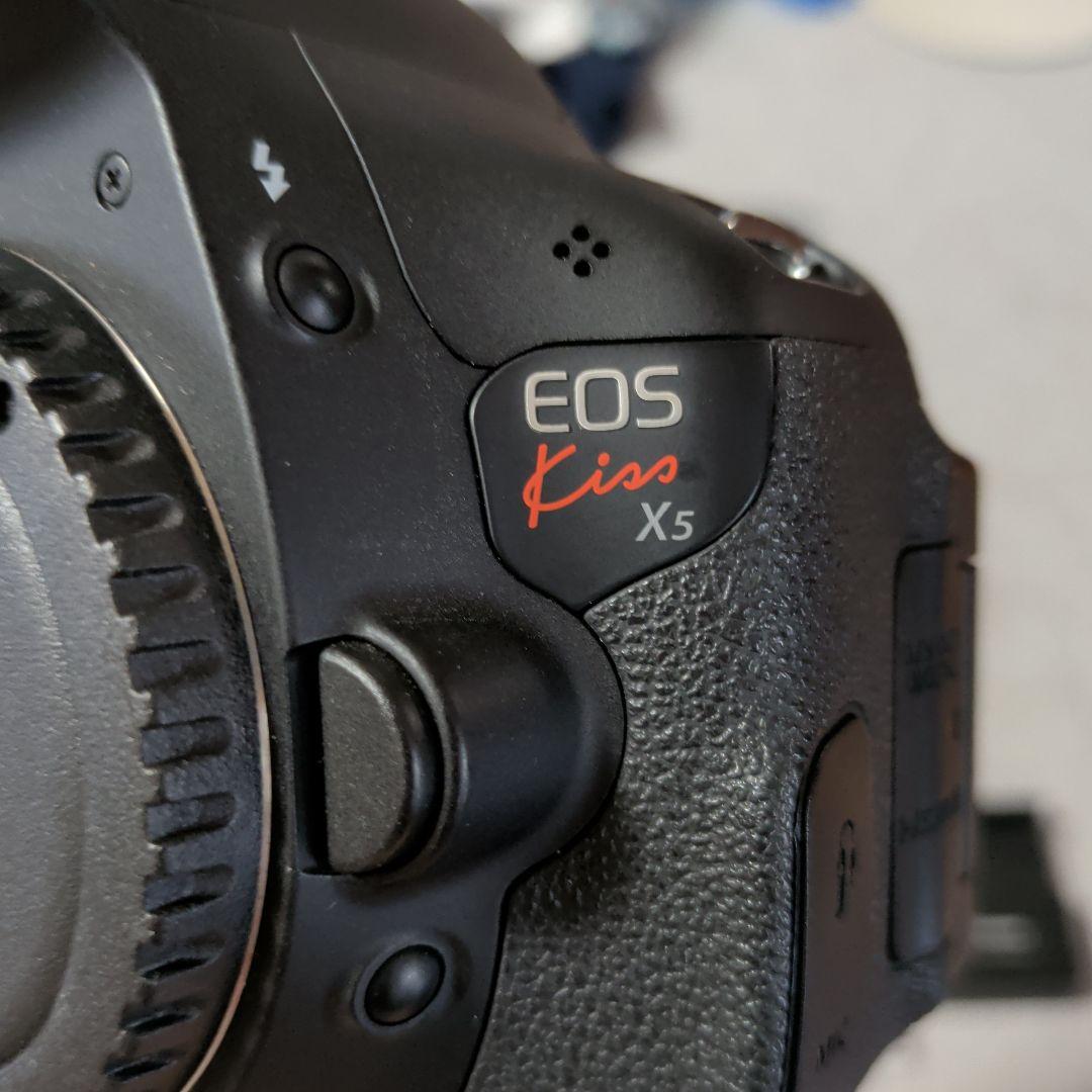 Canon Digital Slrs Eos Kiss X5