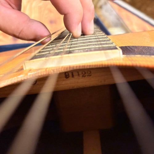 Acoustic Guitars Yamaha 1979