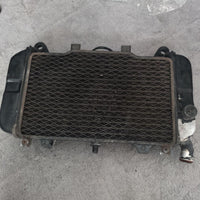 Engine Cooling Zzr400N