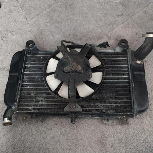Engine Cooling Zzr400N