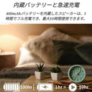 Wireless Speaker Bluetooth Youtube