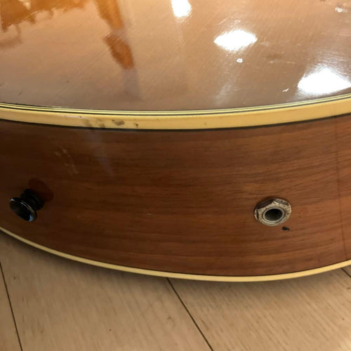 Yamaha Acoustic Guitars Apx-5A