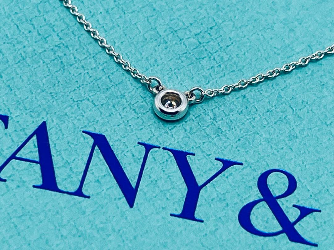 Tiffany Necklaces C900 Ag 925