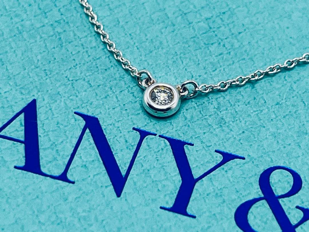 Tiffany Necklaces C900 Ag 925