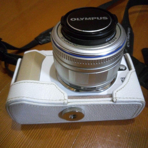 Olympus Mirrorless Interchangeable Lens Cameras Pen E-Pl1S