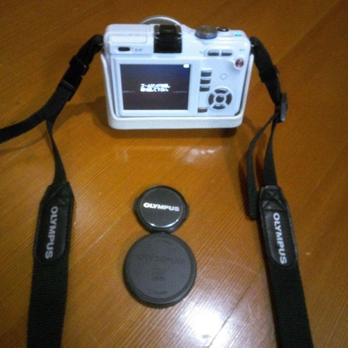 Olympus Mirrorless Interchangeable Lens Cameras Pen E-Pl1S