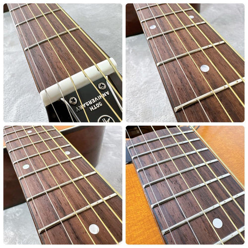 Yamaha Acoustic Guitars D20 Fg 180 50Th Anniversary
