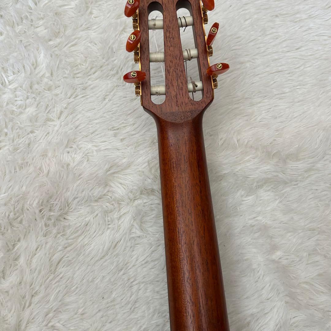 Yamaha Electric Guitars Slg-100N