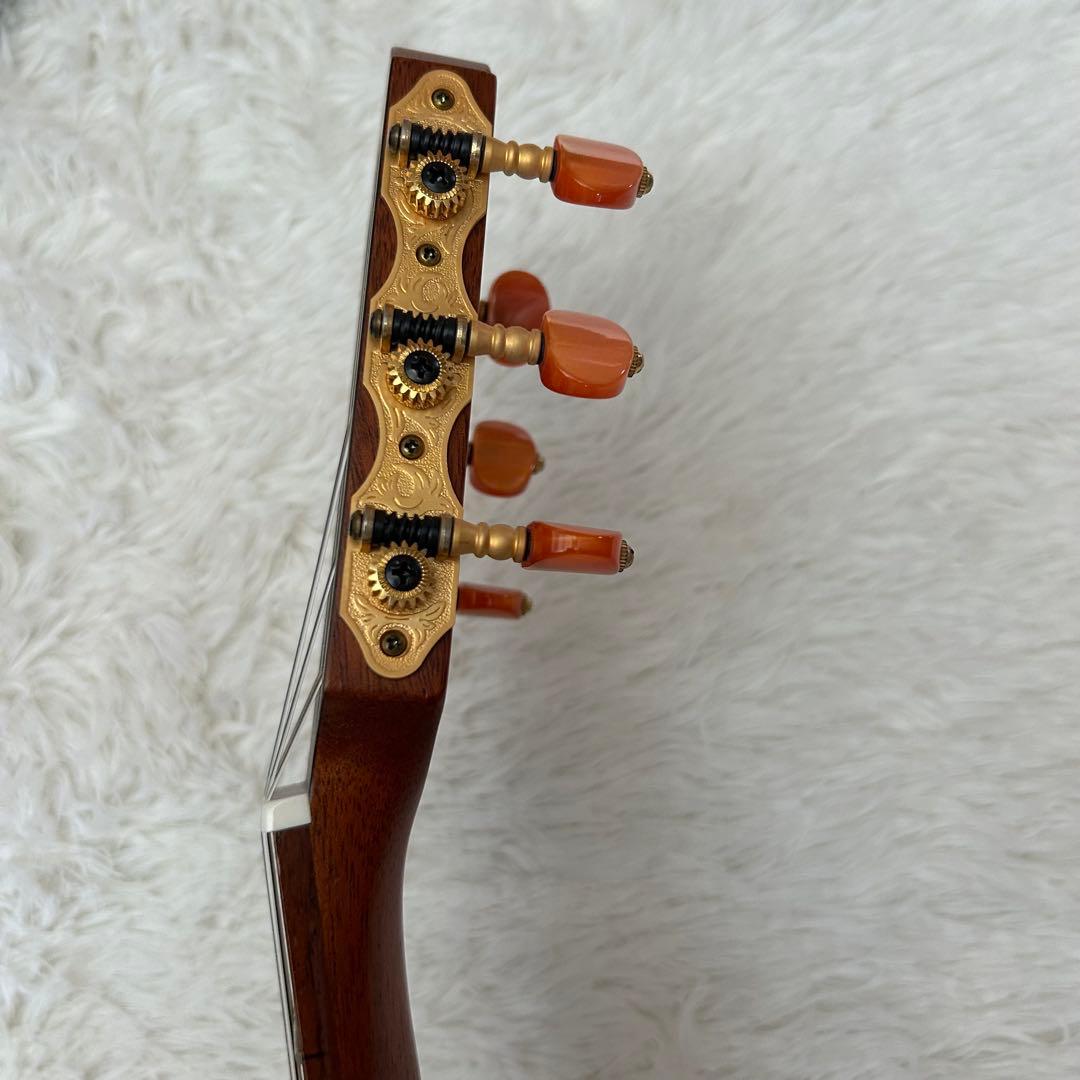 Yamaha Electric Guitars Slg-100N
