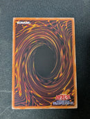 Yu -Gi -Oh! Ocg Duel Monsters (Foreign Language Version) 25Th