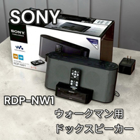 Sony Digital Audio Player Rdpnw1 1018