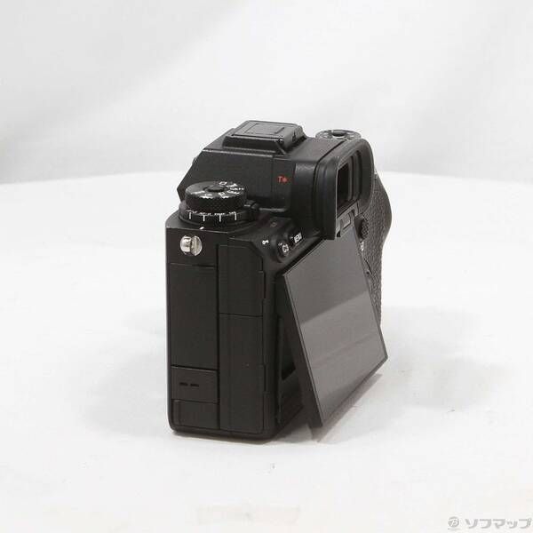 Sony Mirrorless Interchangeable Lips 1 262