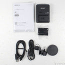 Sony Mirrorless Interchangeable Lips 1 262