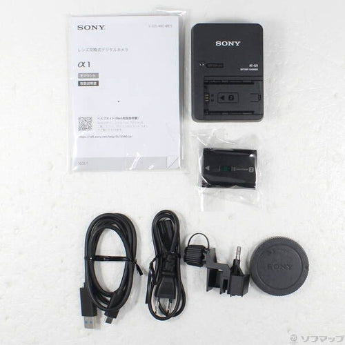 Sony Mirrorless Interchangeable Lips 1 262