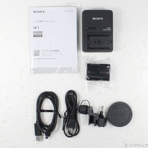 Sony Mirrorless Interchangeable Lips 1 262