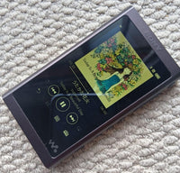 Sony Digital Audio Players Walkman Nw-A55 16Gb