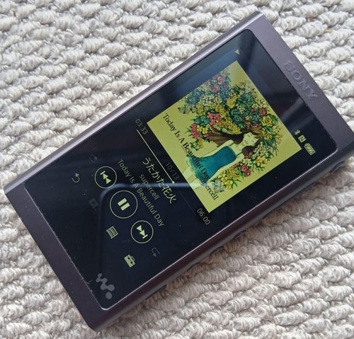 Sony Digital Audio Players Walkman Nw-A55 16Gb